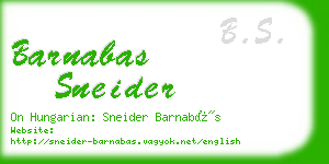 barnabas sneider business card